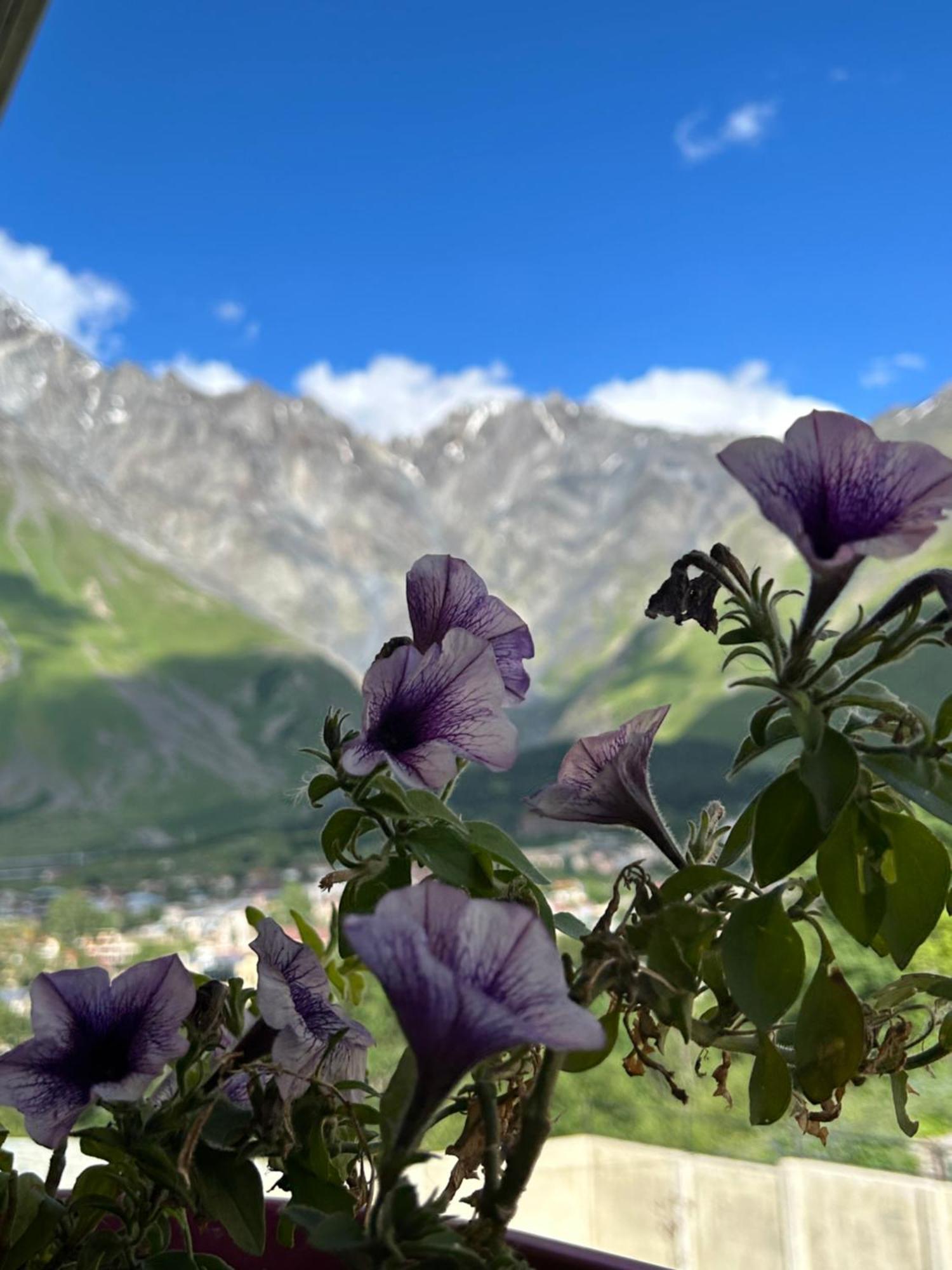 Hill House Hotel Kazbegi Exterior foto